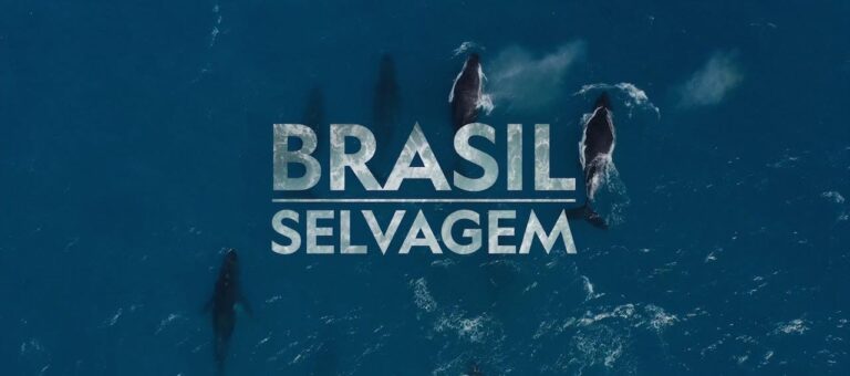 Brasil Selvagem